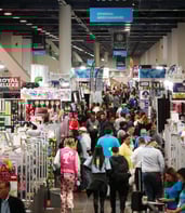 P1010296-crop